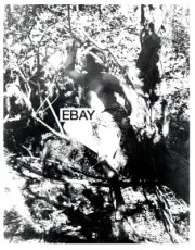 TARZAN OF THE APES 1918 SILENT MOVIE PHOTO E R BURROUGHS ELMO LINCOLN