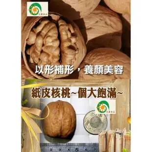 【Guang Xun 光薰】五香味紙皮核桃 好市多知名品牌(新疆進口烤核桃 百大伴手禮盒 送禮推薦 有機無農藥堅果)