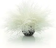 biOrb Sea Lily White