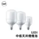 飛利浦 PHILIPS E27 20W 32W E40 70W 中低天井燈 LED 燈泡 LED燈泡