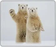 Polar Bear Mouse Pad, Laptop Desk Pad,Non-Slip Base Water Resist Keyboard Pad,Desk Mat for Gamer, Office & Home