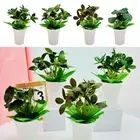 Knick-knack Artificial Plants Bonsai Green Faux Grass Potted Desktop Ornament