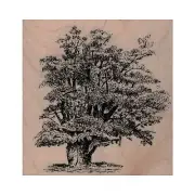 NEW Leafy Tree RUBBER STAMP, Tree Stamp, Woods Stamp, Outdoor Stamp, Fall Stamp