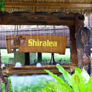 什雷利亞背包客度假村Shiralea Backpackers Resort