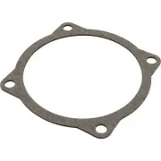Gasket, AquaFlo A Series, Volute, 5", 1-5/8"ID, 2-11/16"OD : 91500150