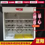 【廠家直銷】6枚鴕鳥12枚鴯鹋孵化機全自動家用型孵化器雞鴨鵝鴿孵化箱孵蛋器