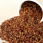 Horse Gram / Kulith / Vulavalu / Huruli / Kulthi Seed Legume Lentil Brown*