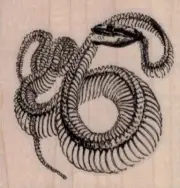 Snake Skeleton 2 1/2 x 2 1/2" Rubber Stamp, Snake Stamp