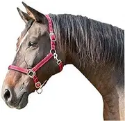 Kerbl Mustang Head Collar
