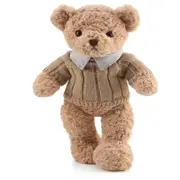 Charming Teddy Bear Plush Toy for Sofa Decor & Gifts