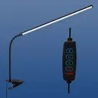 3 Mode Colors Desk Light with Clamp Long Arms Reading Study Light Bedside