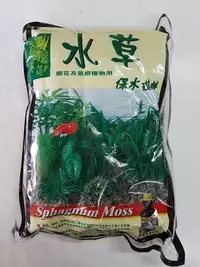 在飛比找Yahoo!奇摩拍賣優惠-【瘋狂園藝賣場】翠筠 水草 3L