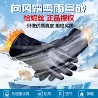 在飛比找樂天市場購物網優惠-保暖手套 機車手套 保暖防風手套（男）真皮手套男士女士冬季刷