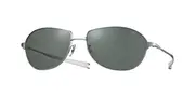 Eyevan Alps Sun BC Men's Sunglasses Silver Size 61