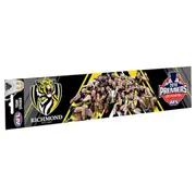 Richmond Tigers 2019 Premiers Premiership AFL Bumper Sticker Team Photo