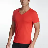 在飛比找ETMall東森購物網優惠-【三槍牌】5件組時尚型男經典排汗速乾E棉V領短袖衫(隨機取色