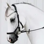 LUMIERE - 'AZURE' ANATOMIC ITALIAN LEATHER BRIDLE - BLACK