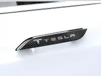在飛比找Yahoo!奇摩拍賣優惠-⚡️ Tesla Model S 特斯拉 拉門 門把 門 碳