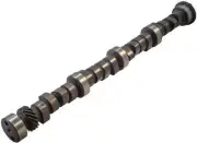 Engine Camshaft-Performance Melling 25211