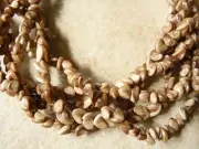 Orchid Shell BEADS Cream to Brown 104 total beads stringing or craft 4MM 17" st