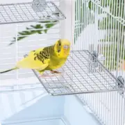 Parrot Steel Mesh Platform Bird Station Board Parrot Bird Resting Springboard