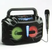 EARISE Vigorowl T60 Portable 30W Karaoke PA System Speaker Wired Microphone New
