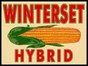 WINTERSET Hybrid Seed Corn NEW METAL SIGN: 12x16" Ships Free