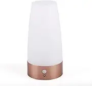 xinyee PIR Motion Sensor Light Bedside Lamp LED Desk Lamp Bedroom Night Light Battery Powered Small Table Lamp Ambient Lighting