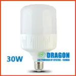 30W 防水 LED 燈泡