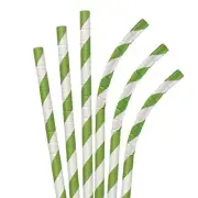 Aardvark 7.75" Green Stripe Jumbo Eco-Flex Paper Straws 600 ct Green Stripes