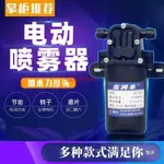 電動噴霧器水泵12V農用隔膜微型高壓自吸洗車打機大功率馬達 LFZH