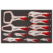 Teng TTEVG11 - Power Grip Plier Set - 11 Piece EVA
