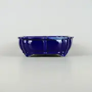 Japanese bonsai pot Seto ware SATOMI Mokko shape W17.5cm H5.7cm Ruri-blue Glazed