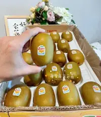 在飛比找Yahoo!奇摩拍賣優惠-紐西蘭Zespri 黃金奇異果25顆大3.3公斤/箱