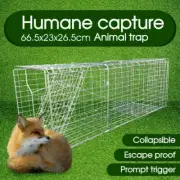 Animal Trap Cage Folding Humane Live Catch Possum Fox Rat Rabbit Bird