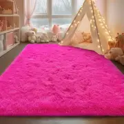 Ultra Soft Fluffy Hot Pink Rugs for Bedroom, 4x6 Feet Fluffy Shag Area Rugs