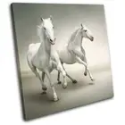 White Horses Herd Galloping Modern Animals SINGLE CANVAS WALL ART Picture Print