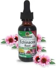 Nature's Answer Alcohol-Free Echinacea with Natural Grape Flavor, 1-Fluid Ounce