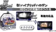 POLARG P0876 B1 Hybrid Halogen, M-66, 12V51W, 55W, White (Pack of 2)