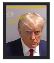 PRESIDENT DONALD TRUMP NEVER SURRENDER! MUGSHOT FRAMED 8X10 PHOTO REPRINT