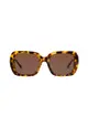 Coach Women's Square Frame Havana Acetate Sunglasses - HC8329U