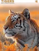 Tigers Calendar 2026