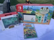 Animal Crossing New Horizons Console with accessories. Nintendo Switch