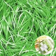 Hengrongshen Gift Filler, 300 g Filling Material for Packages, High Quality, Shredded Paper, Gift Box Decoration for Christmas, Wedding, Anniversary, Valentine's Day Party (Light Green)