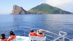 宜蘭龜山島登島半日遊|登島・環島・賞鯨