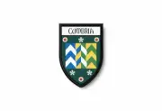 Patch printed shield embroidery border badge souvenir flag city county cumbria