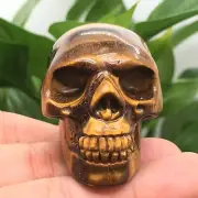 1pc Natural tiger's eye jasper Quartz Carved crystal skull Reiki healing random