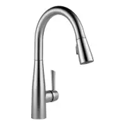 Delta 9113-DST Essa Pull-Down Kitchen Faucet - Arctic Stainless