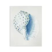 Spotted Conch Shell Wall Plaque Art Design by Patricia Pinto