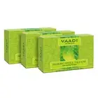 Vaadi Herbals Alluring Neem Tulsi Soap with Vitamin E and Tea Tree Oil, 75gm x 3